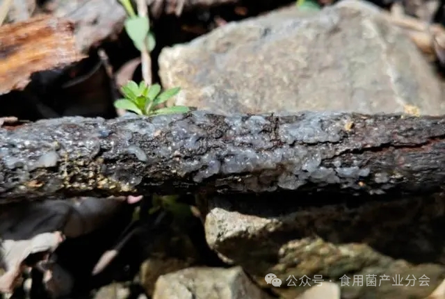 圖片關鍵詞 圖片關鍵詞