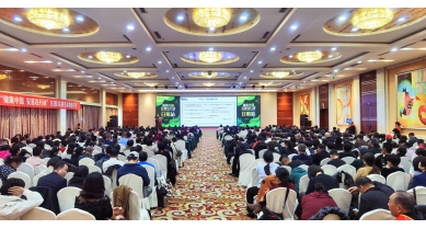 專(zhuān)題報(bào)道