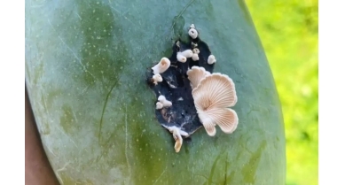 行業(yè)動態(tài)