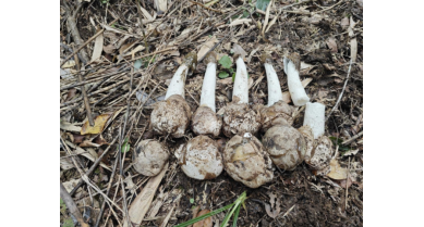 行業(yè)動態(tài)